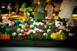 Edible Garden